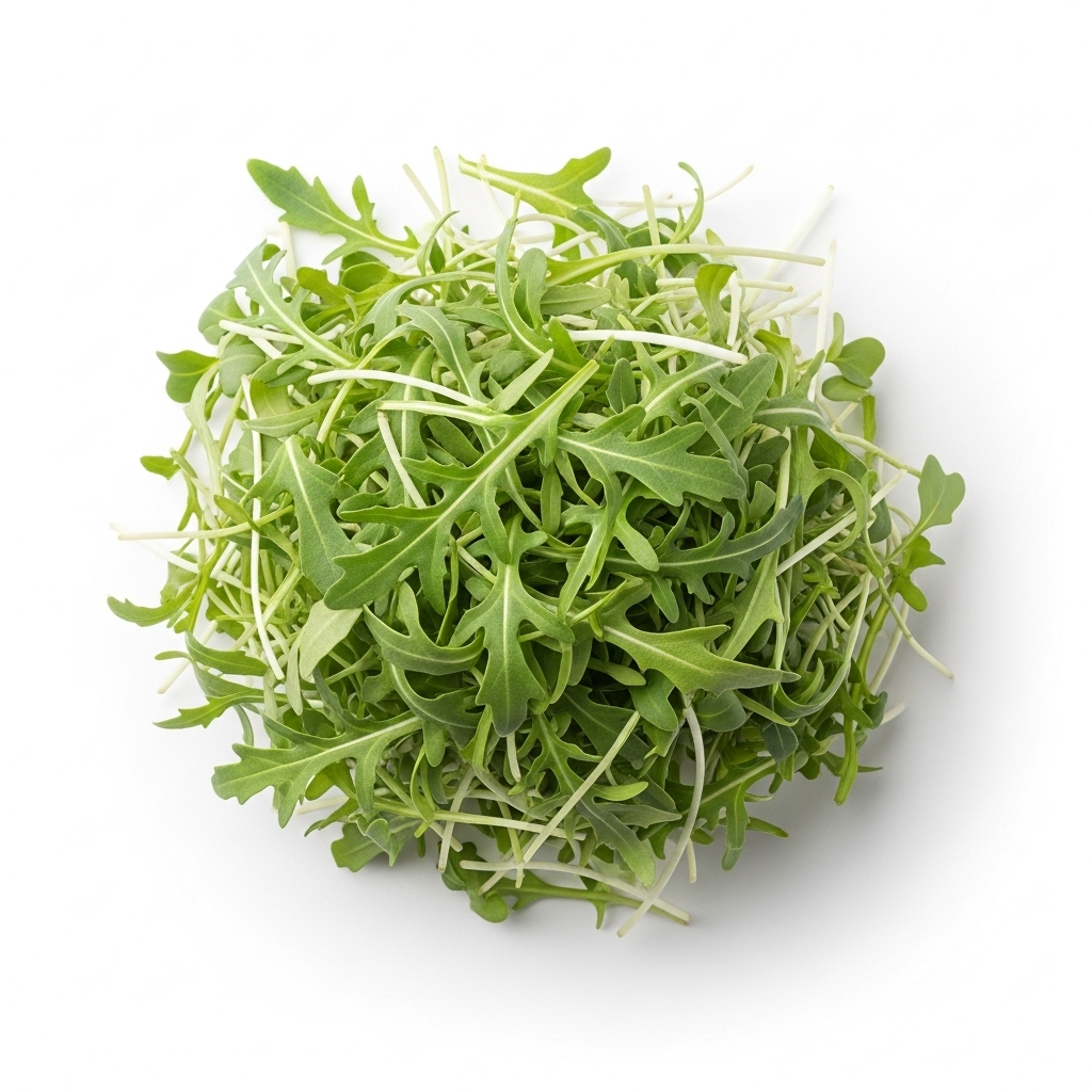 Arugula Microgreens