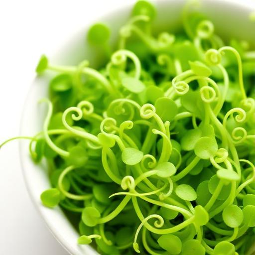 Pea Shoots Microgreens