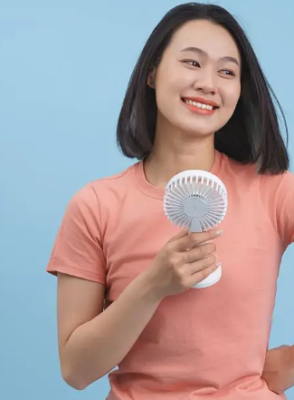 Compact Jiu Jitsu Fans