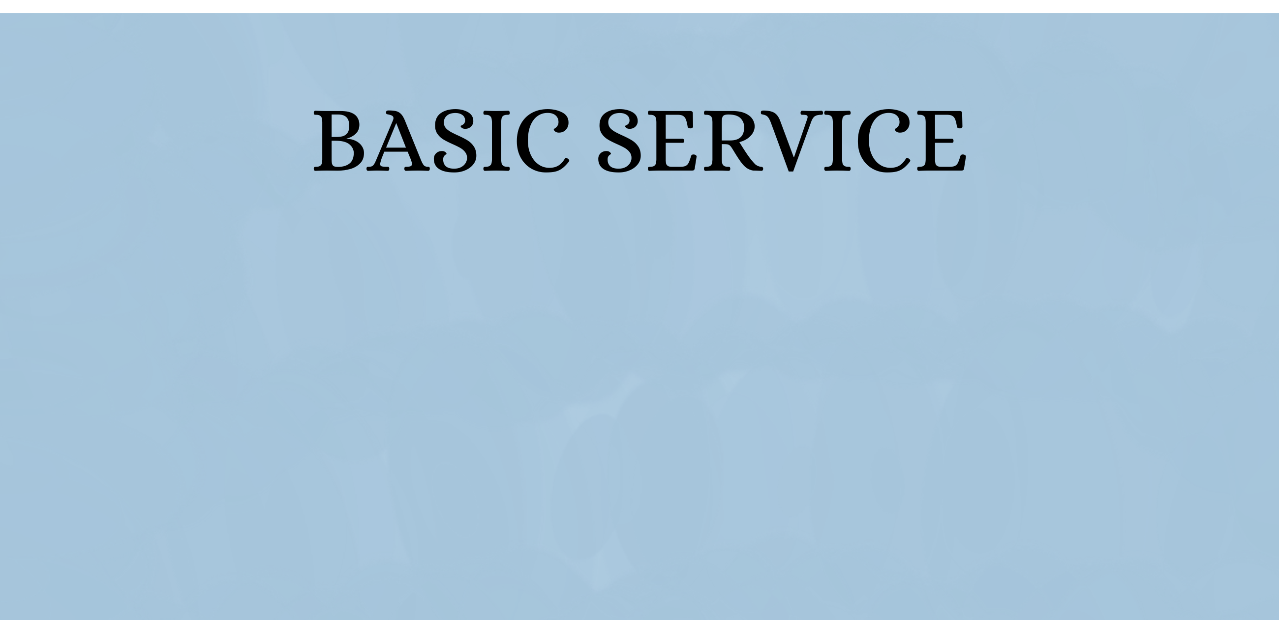 BASIC SERVICE