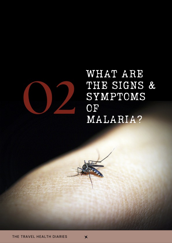 Malaria: Your Ultimate Guide to Symptoms, Treatment & Prevention