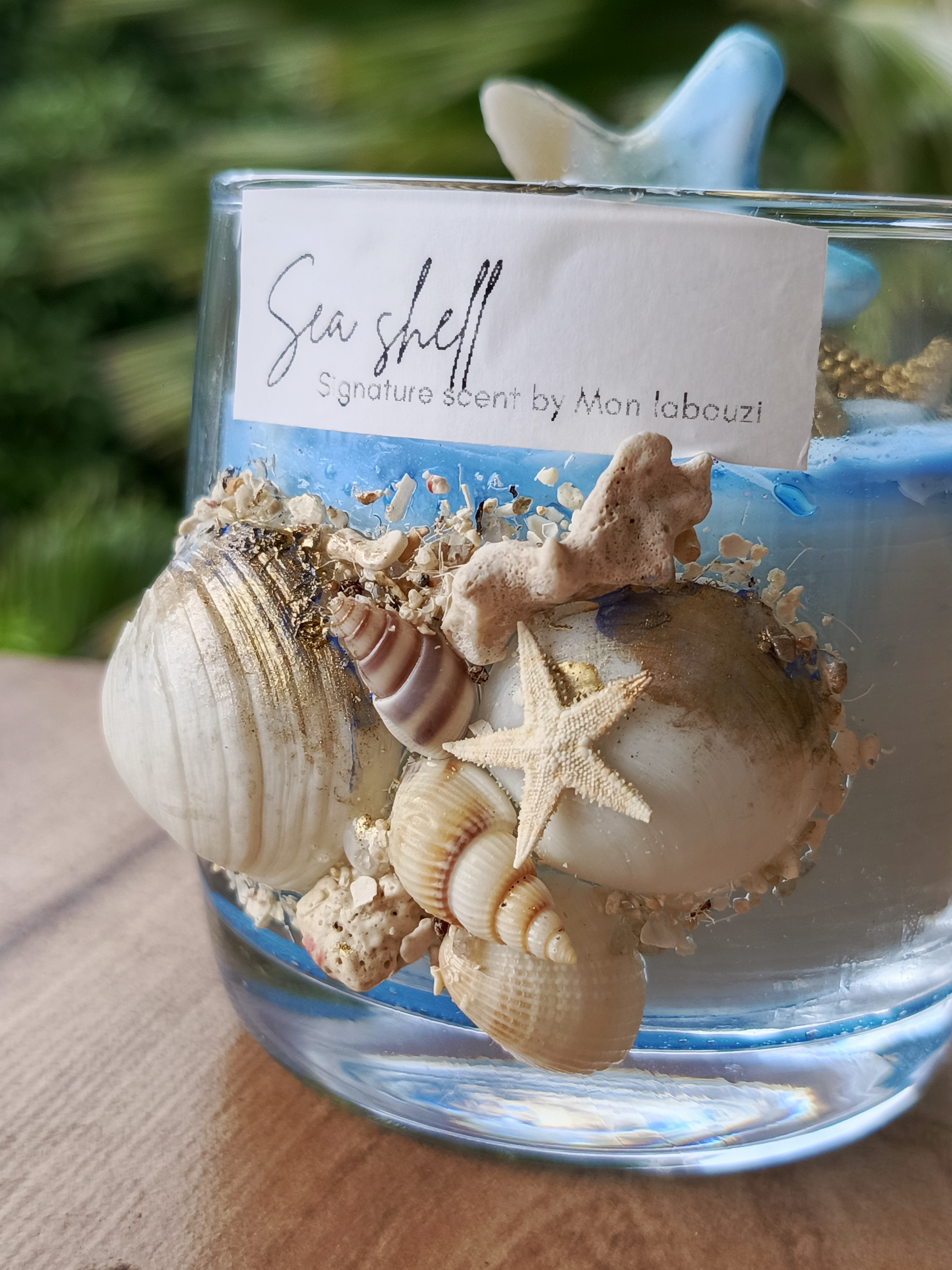 Sea shell Candle 