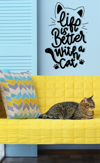 Decorative Cat Quote Wall Sticker