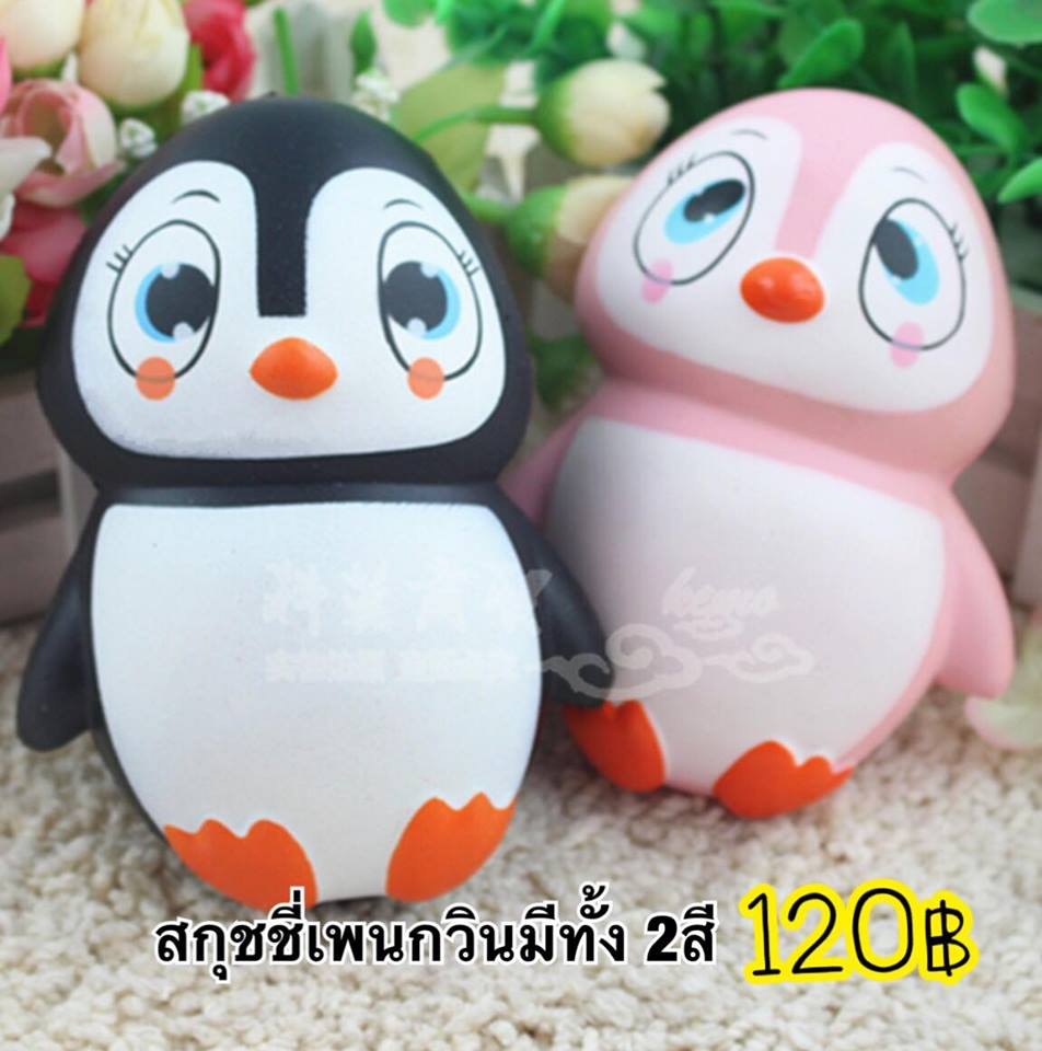 สกุดชี่เพนกวิน2สี
