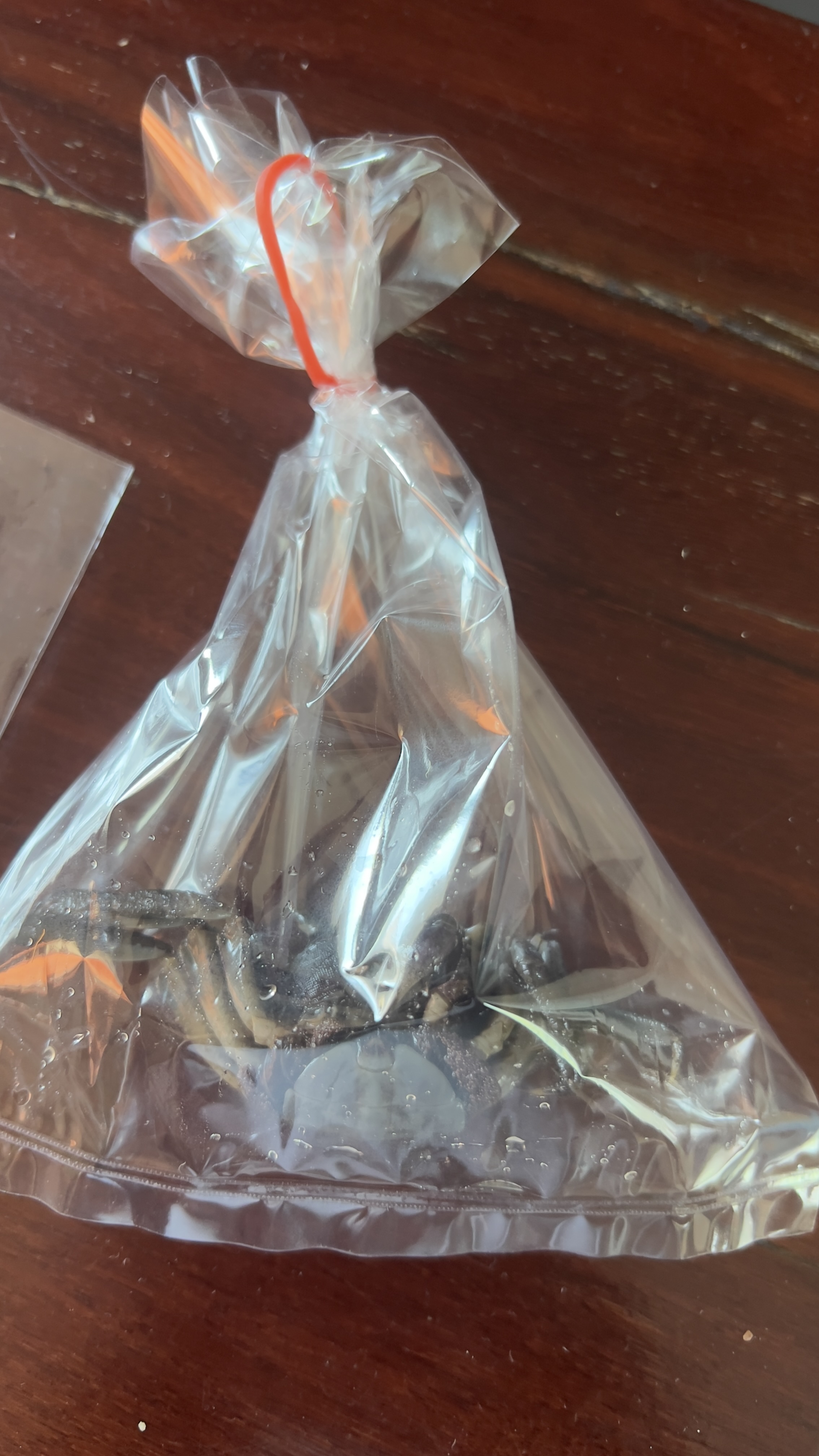 เครื่องตำส้ม พริกแม่เลื่อน – สูตรผสมพร้อมตำ สำหรับ 1 เสิร์ฟ | พกง่าย ครบเครื่องในซองเดียว