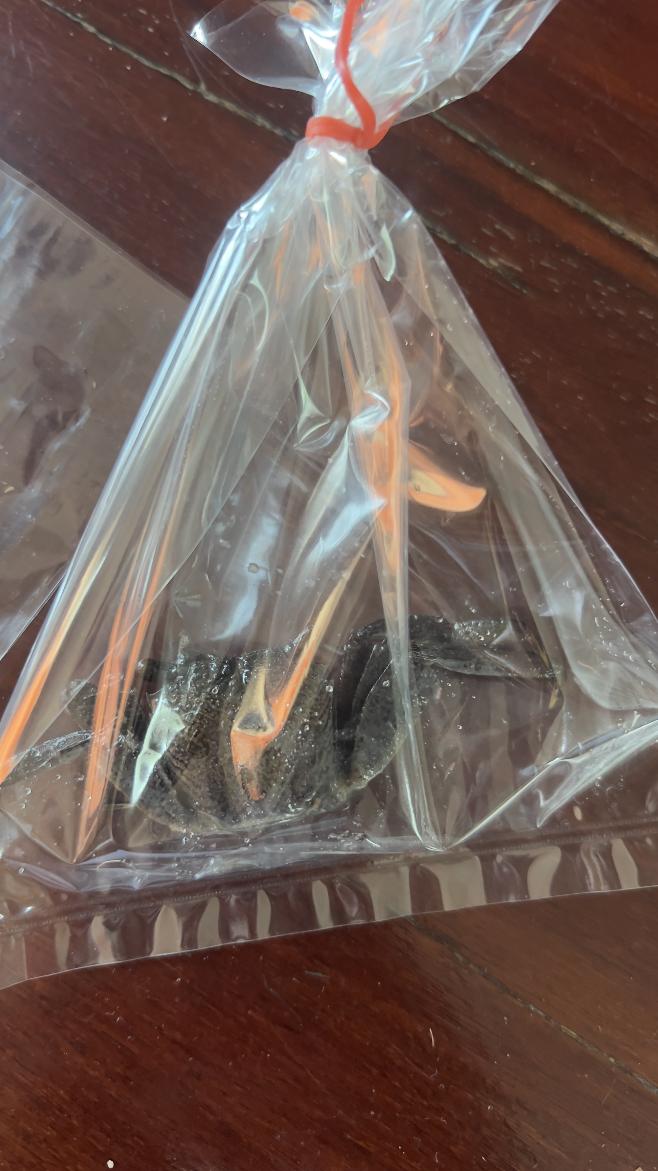 เครื่องตำส้ม พริกแม่เลื่อน – สูตรผสมพร้อมตำ สำหรับ 1 เสิร์ฟ | พกง่าย ครบเครื่องในซองเดียว