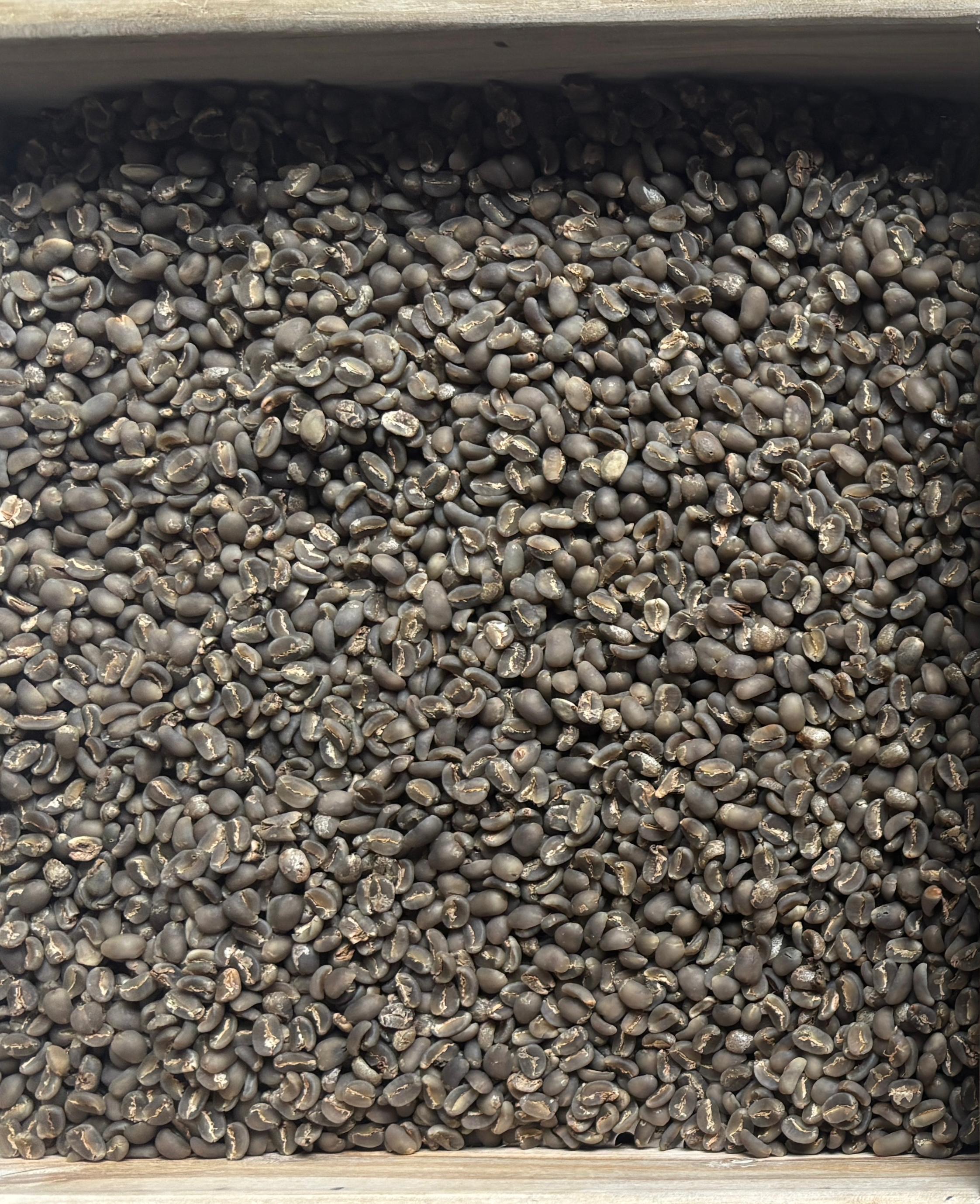 ARABIKA SIGARAR UTANG