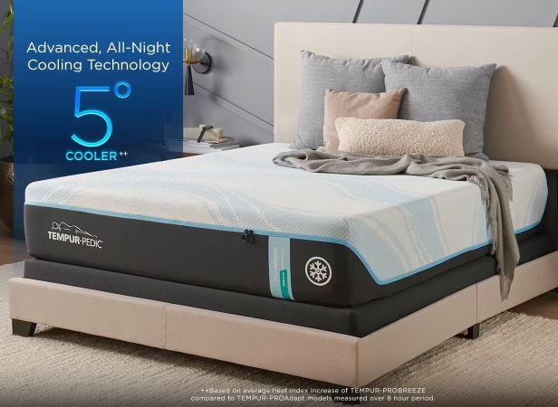 Tempur Pro-Breeze/Base Bundle