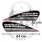 kit 2 Adesivi serbatoio Harley-Davidson Vintage – Sticker Custom laminati per Moto XR 1200 hd