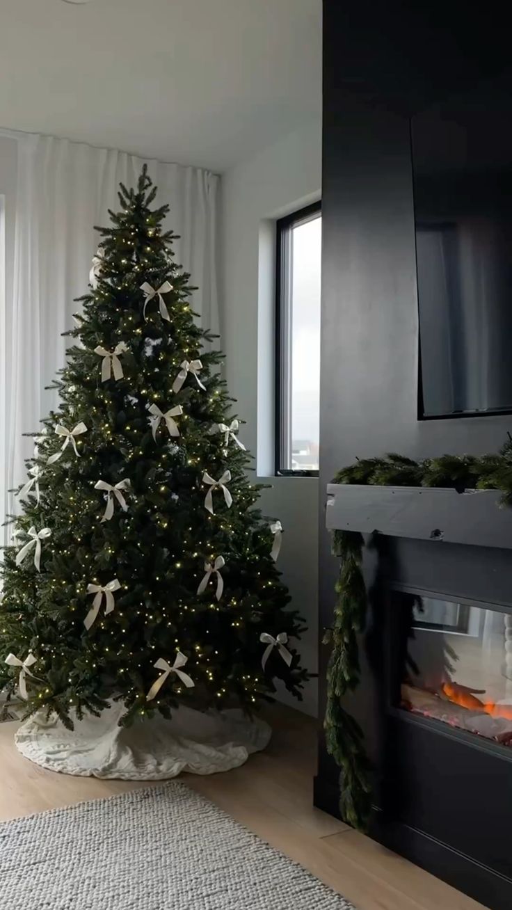 Gyvas nuo 2,5 iki 3 metrų kėnis