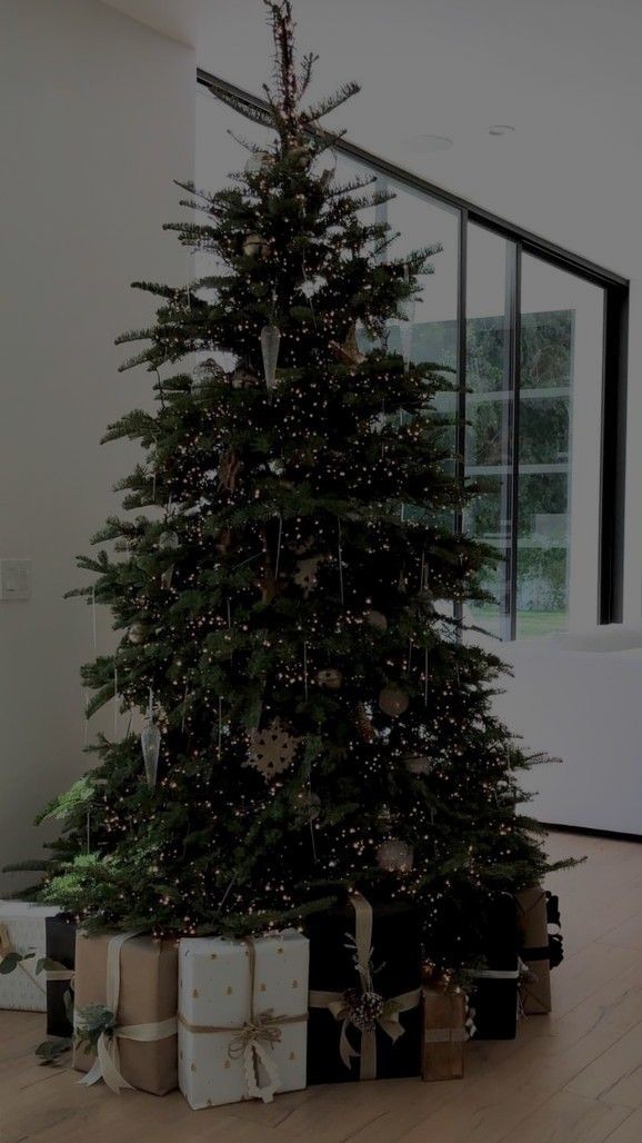 Nordmann kėnis iki 1,5 metrų