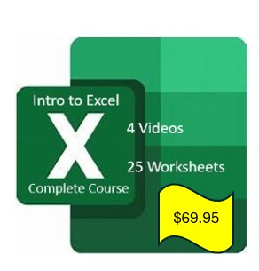 Excel for Basic Business Skills