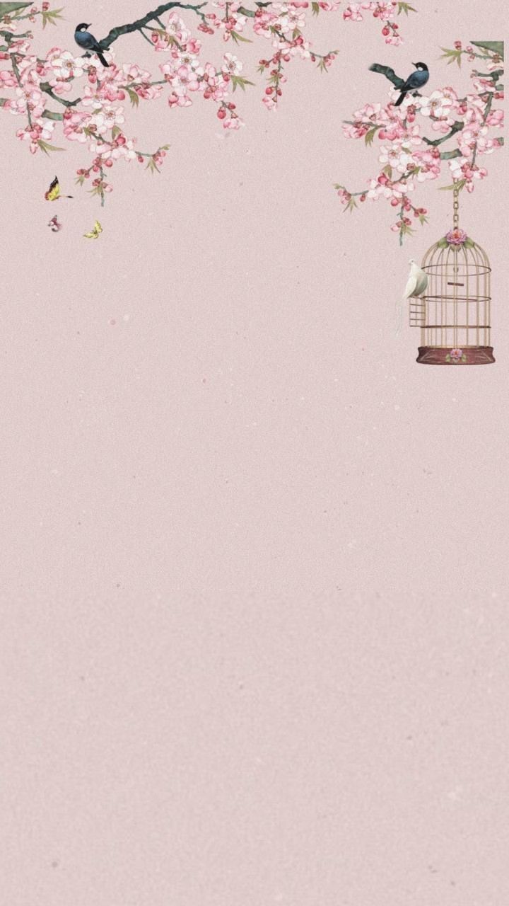 Cherry Blossom Bird Background – Pink Floral Wallpaper, Vintage Spring Birdcage Illustration