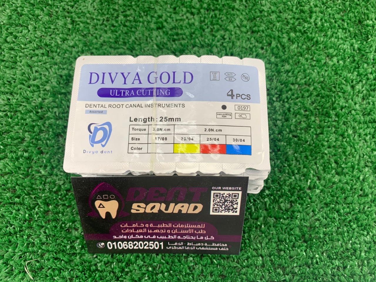 DIVYA GOLD (Rotary Files)