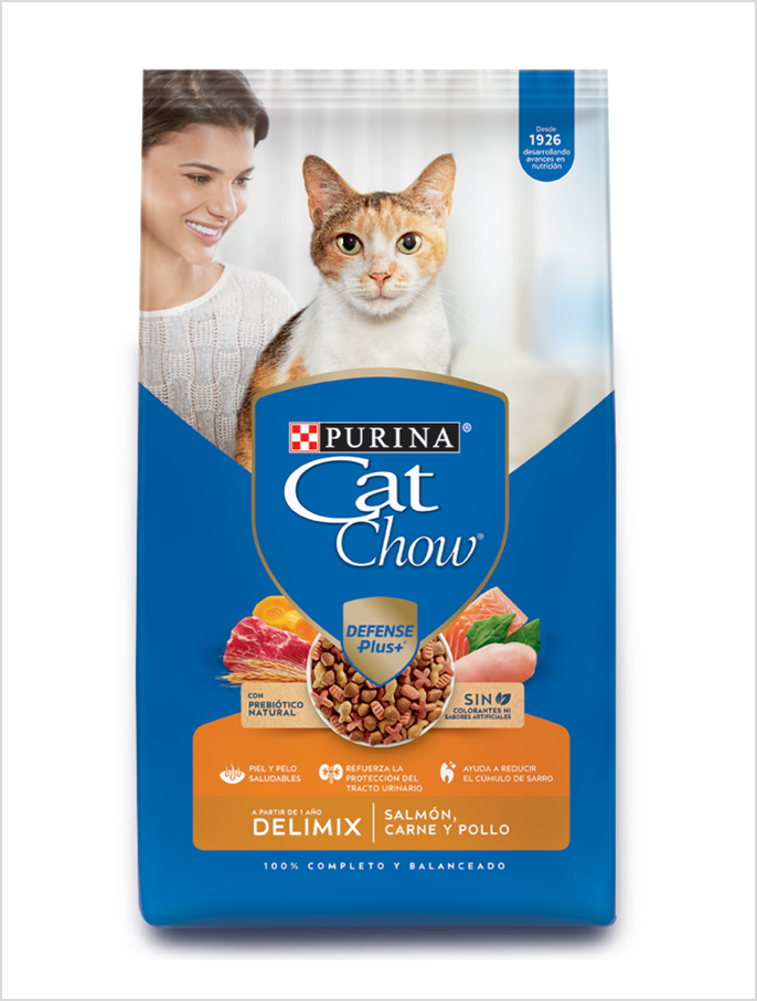 Cat Chow Adulto Deli Mix 19kg