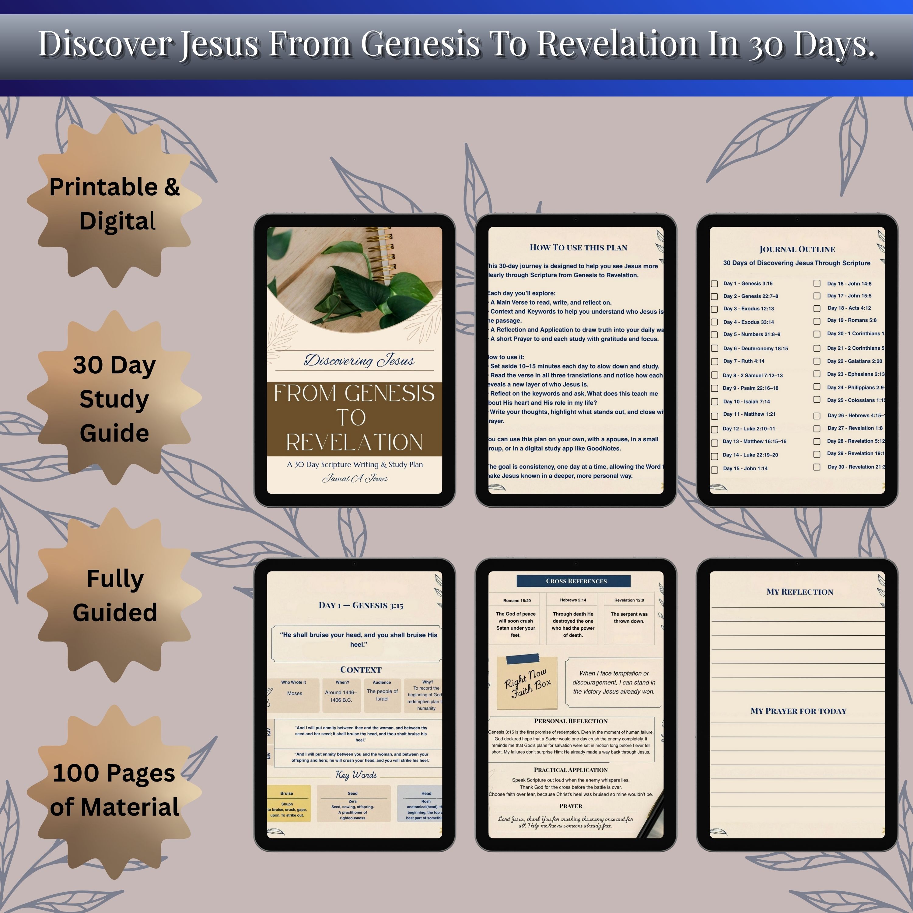 Discovering Jesus from Genesis to Revelation in 30 Days