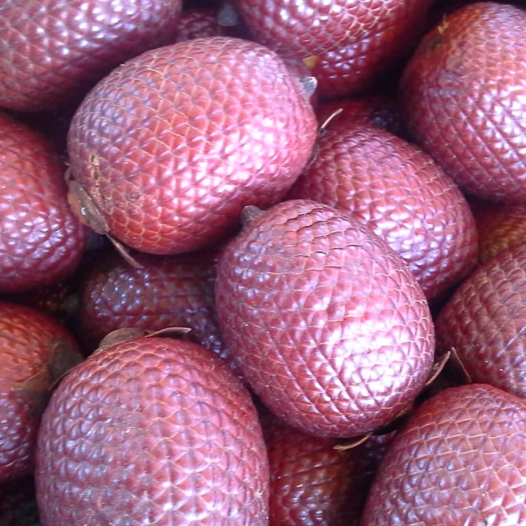 Aguaje Freeze-Dried Powder (Mauritia flexuosa)