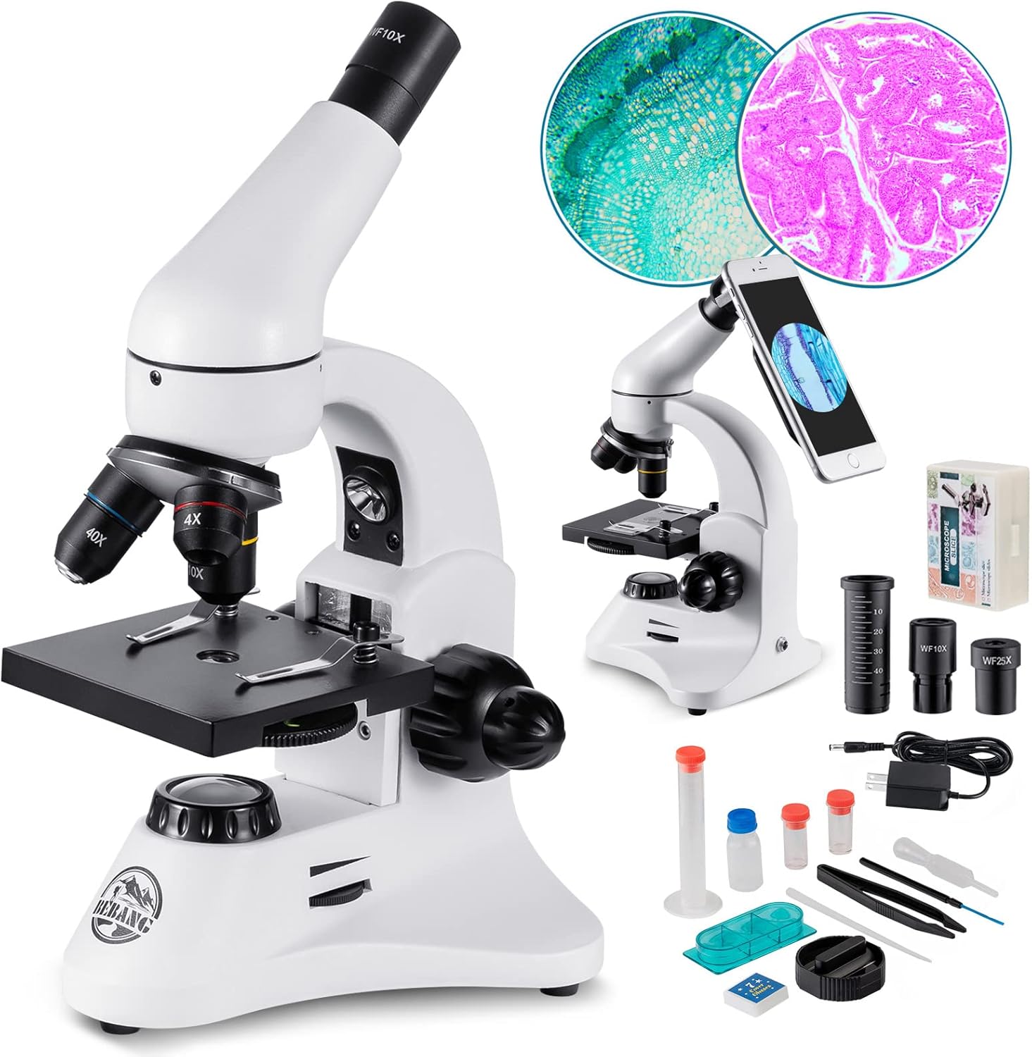 Compound Student Microscope Kit