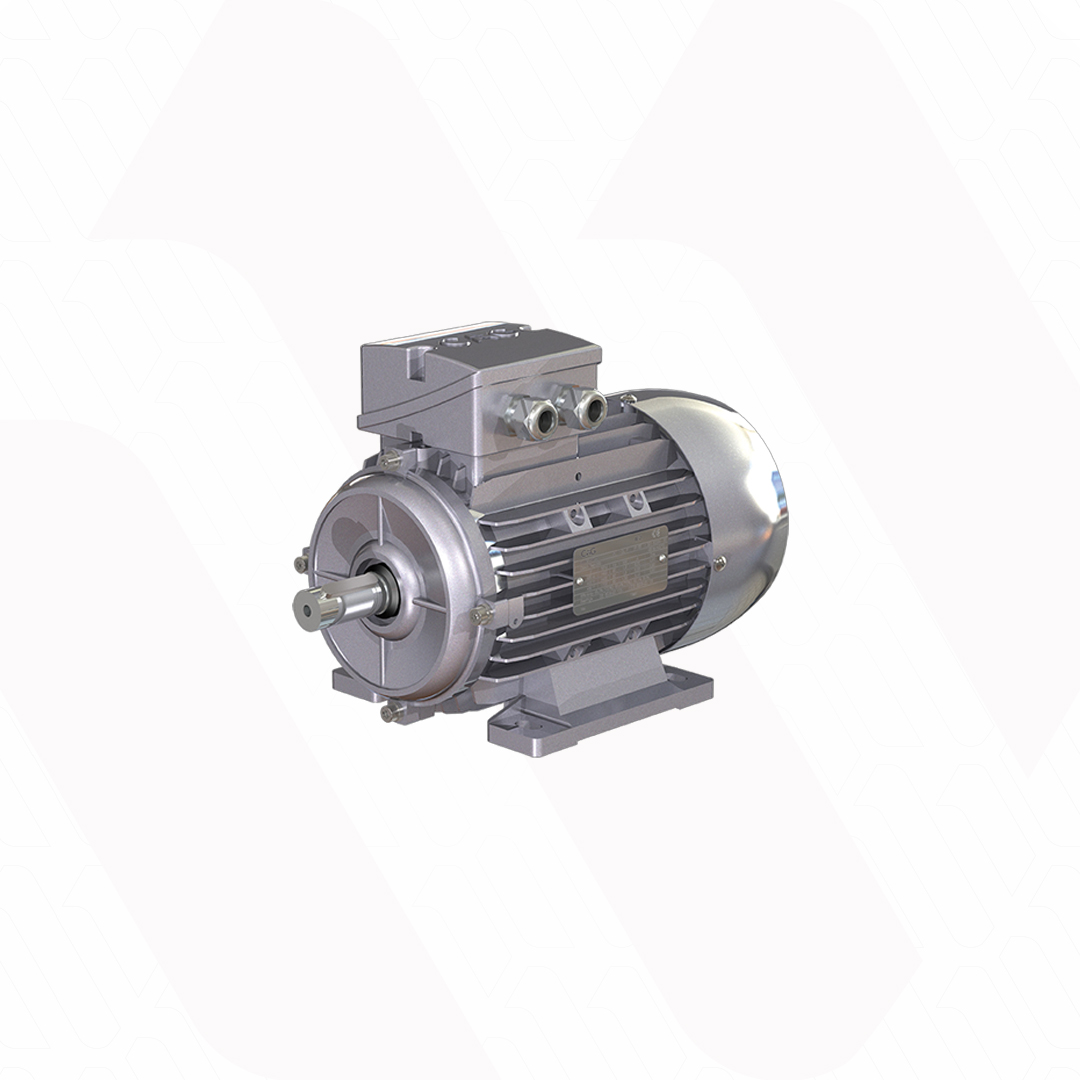 FLANGE MOTOR