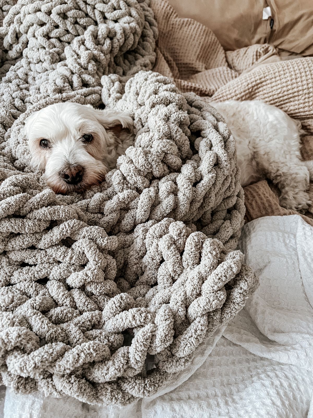 RANKOMIS MEGZTAS PLIUŠINIS PLEDAS