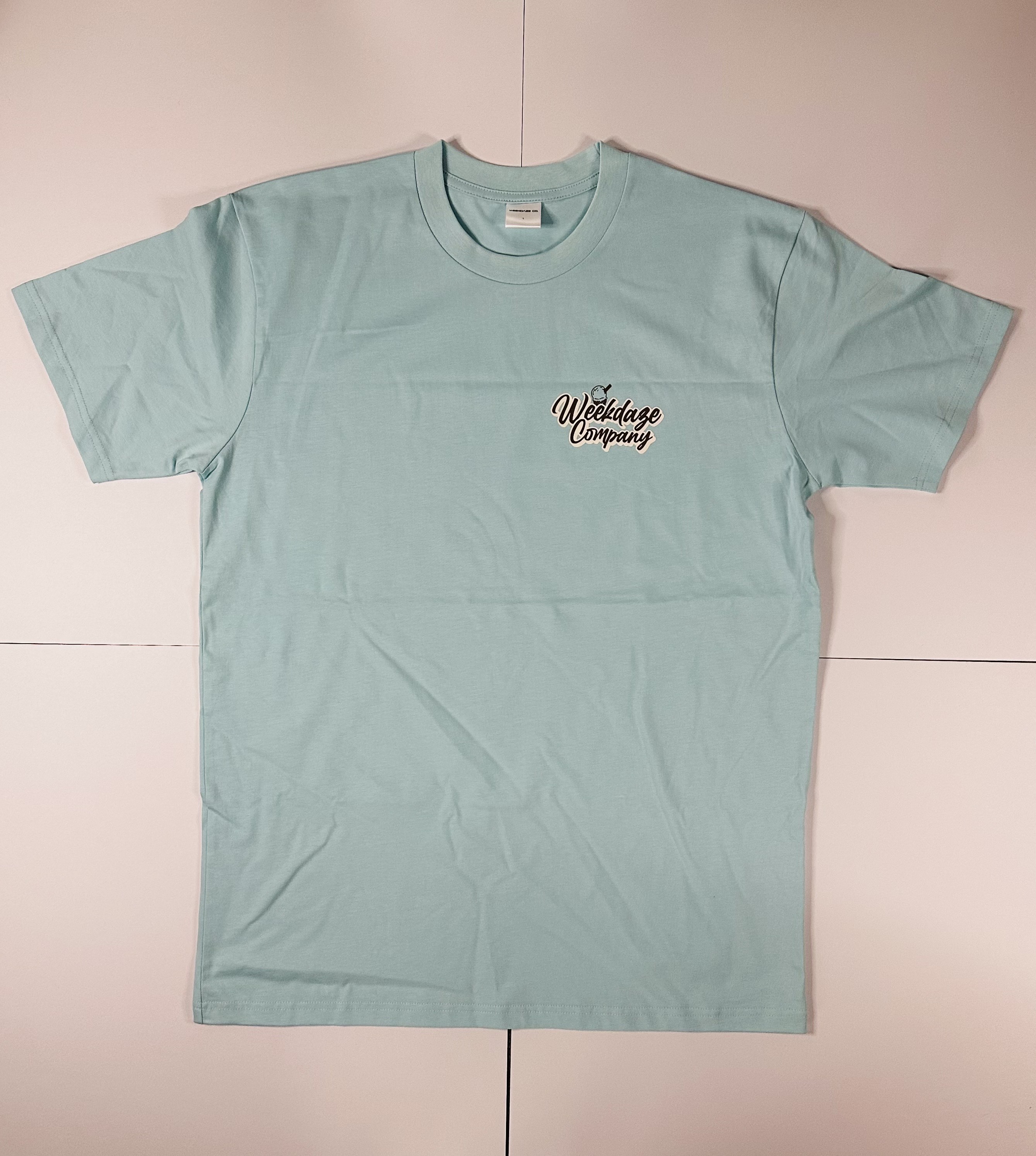 Mint Choc Chip