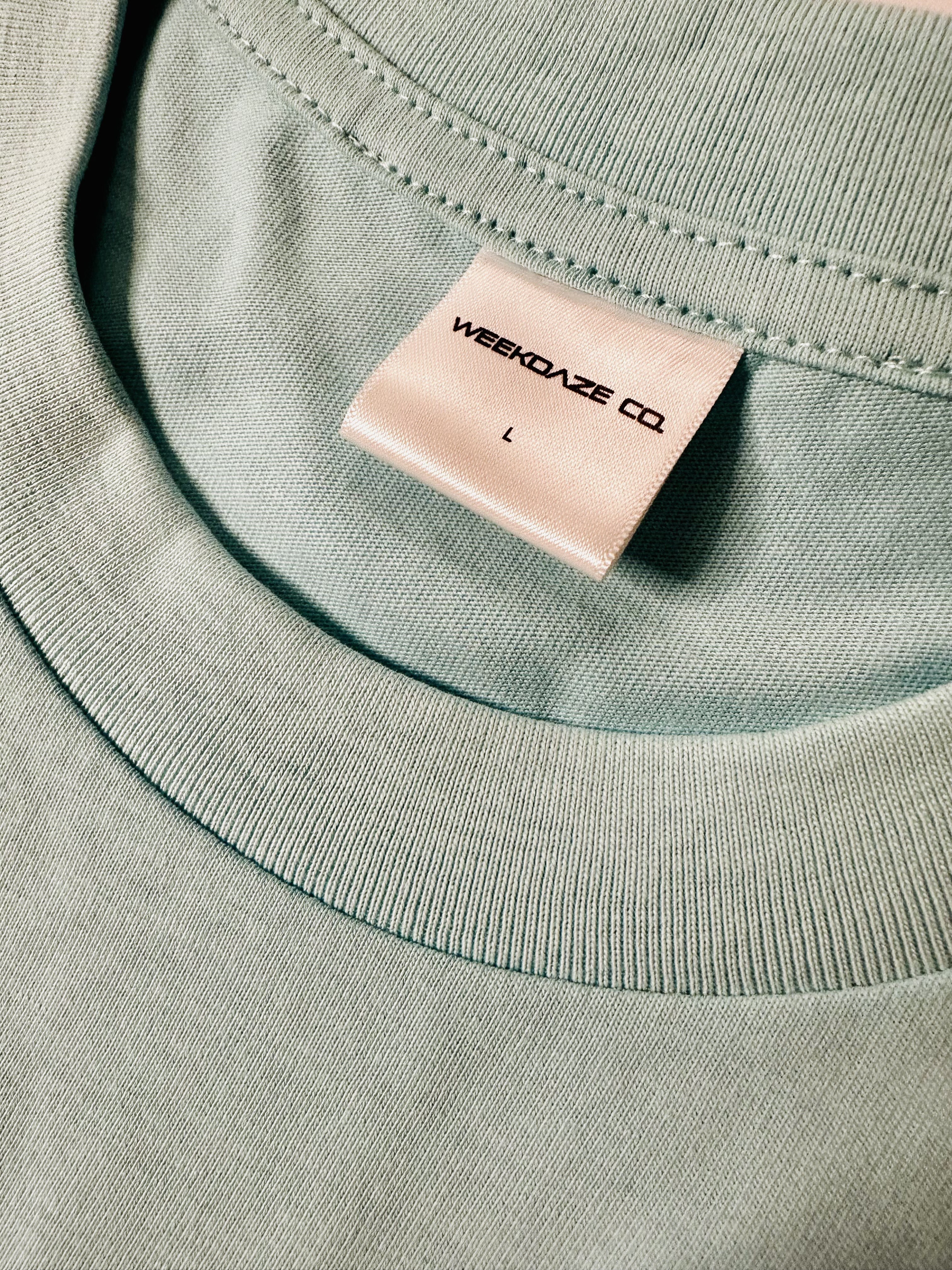 Mint Choc Chip