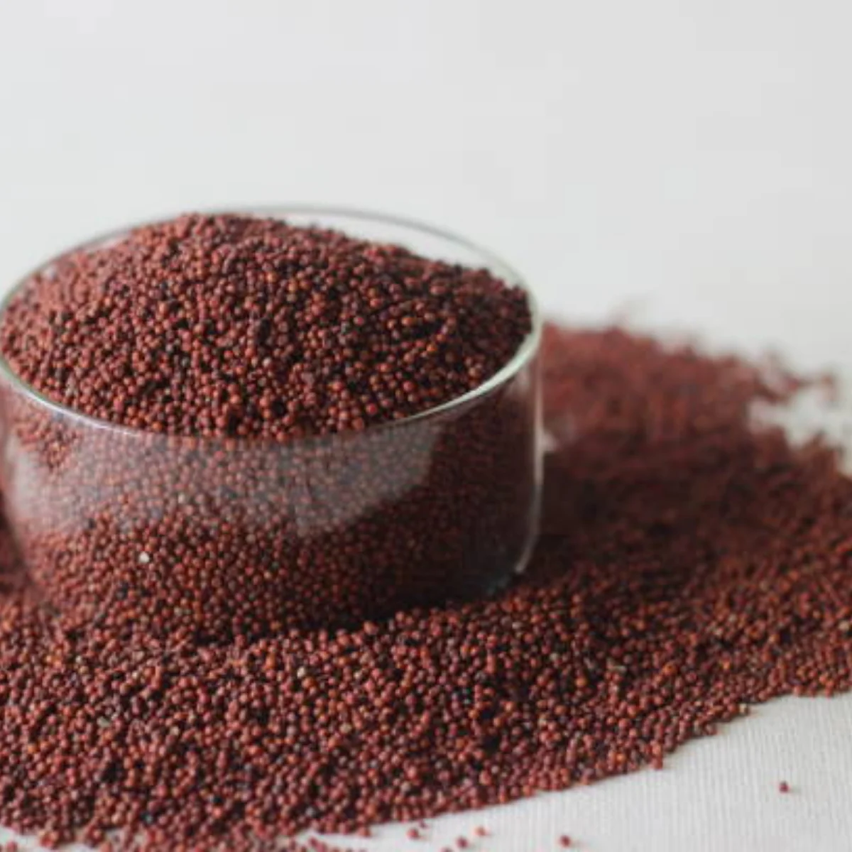 Finger Millet (Ragi / Nachni)