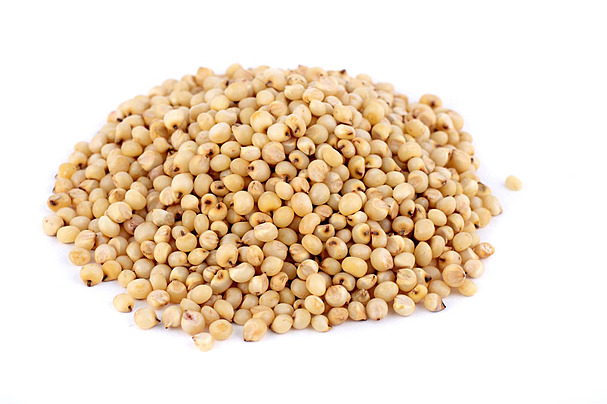 Sorghum Grains