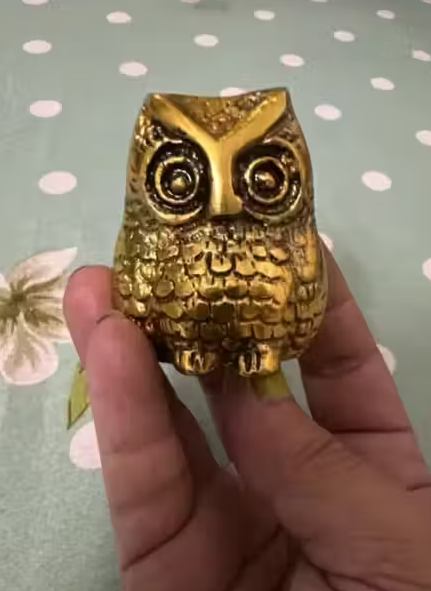 Ma Laxmi Owl - Puja Articles / Diwali 