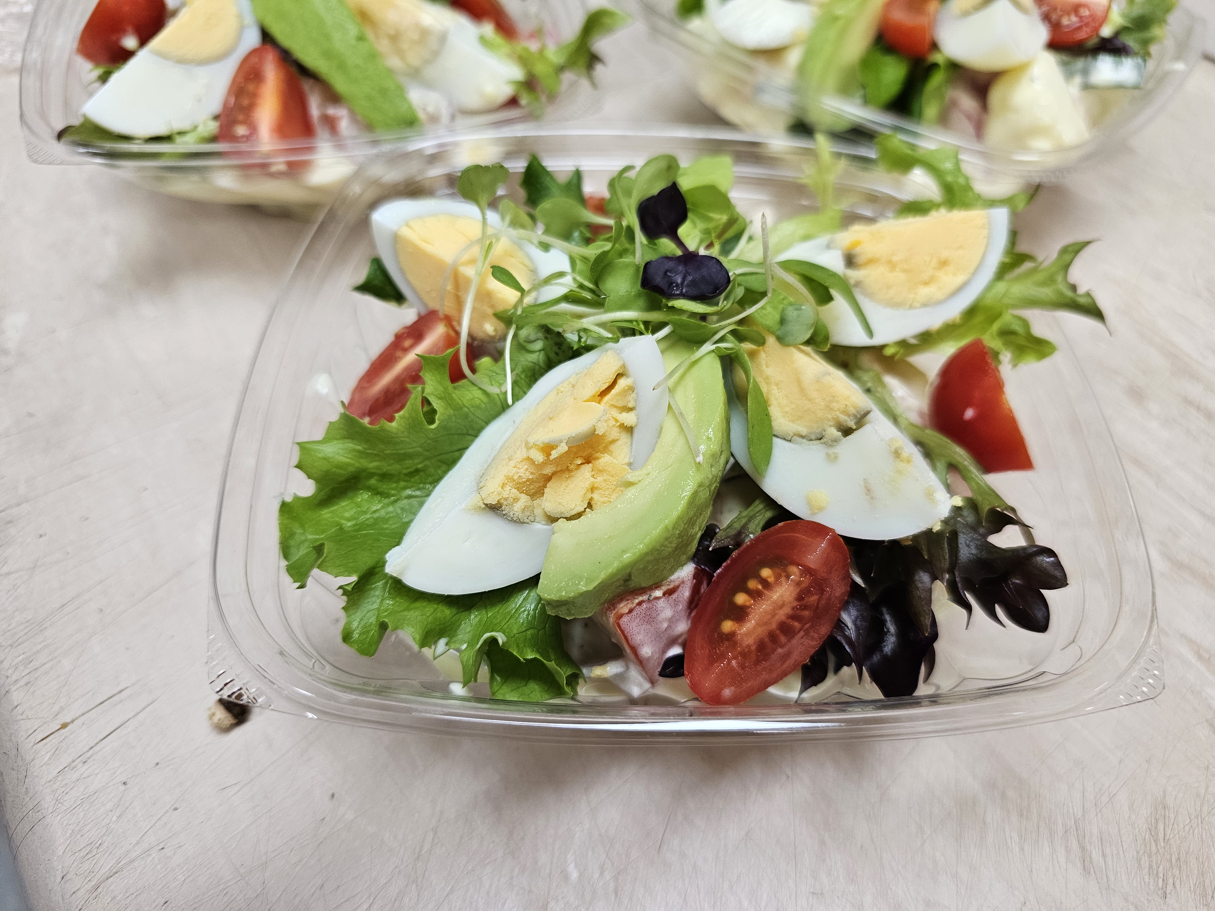 Fresh Garden Salad with Egg