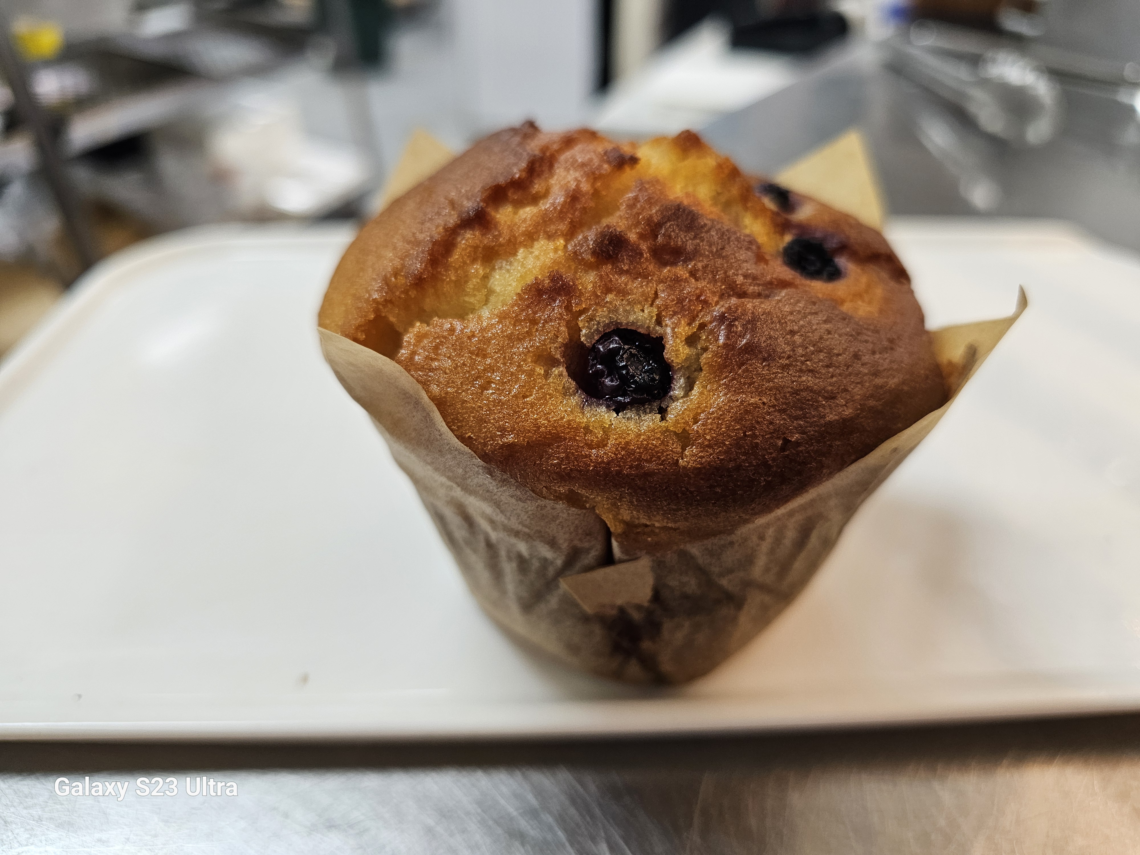 Blueberry Muffin