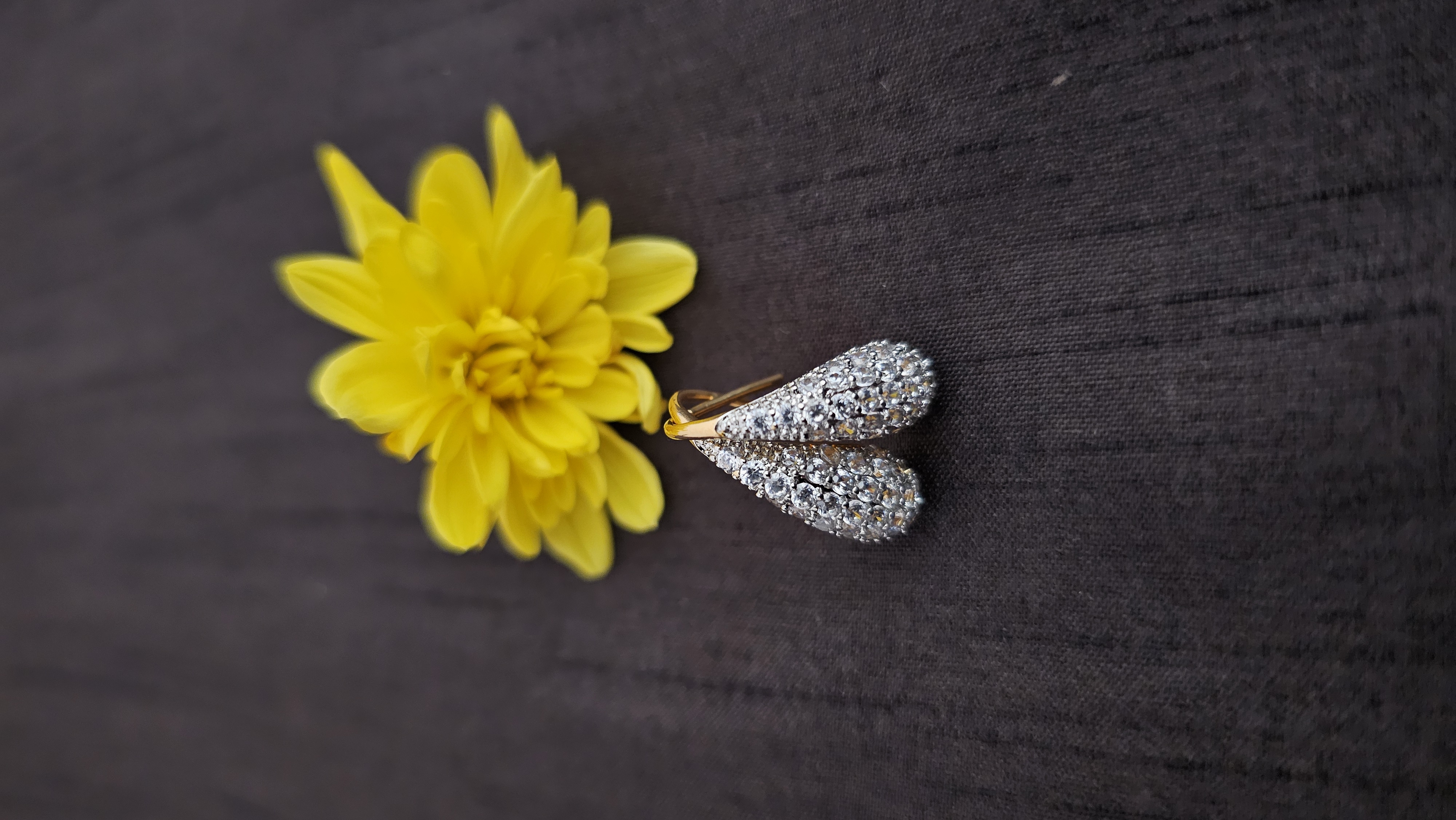 Elegant Diamond Studded Earrings