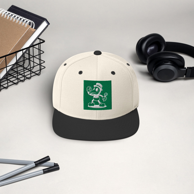 ILLY SNAPBACK