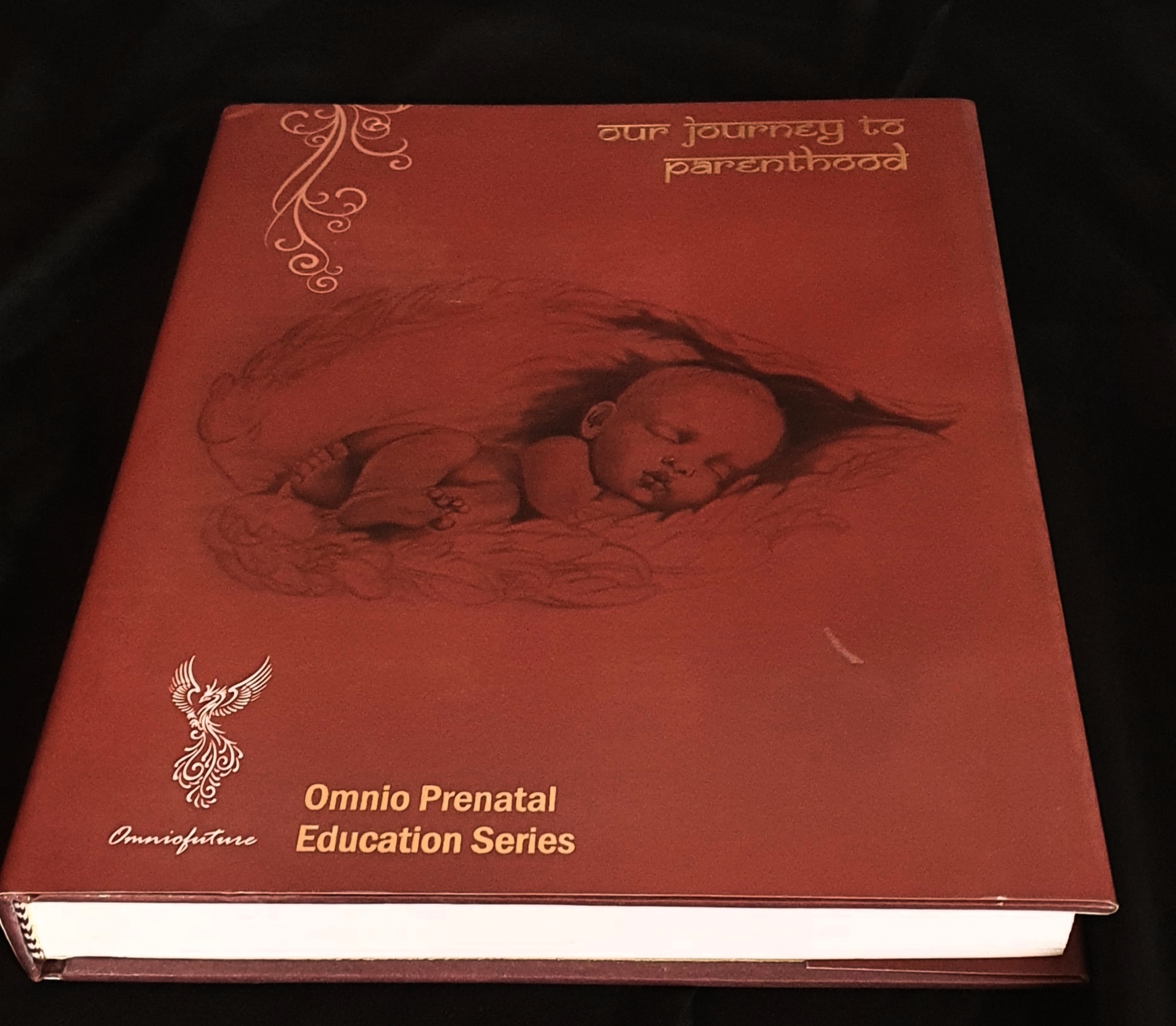 Pregnancy Journal