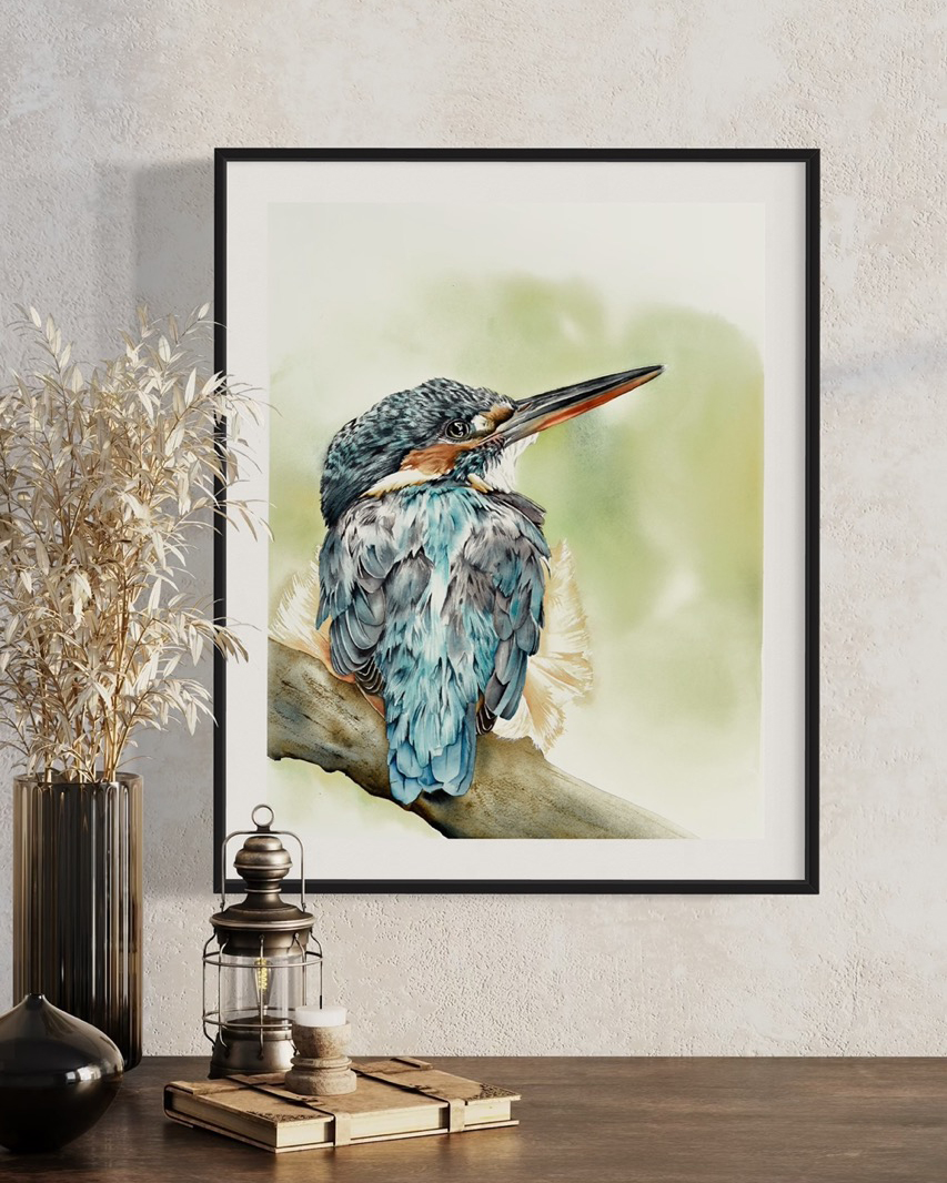 Kingfisher 