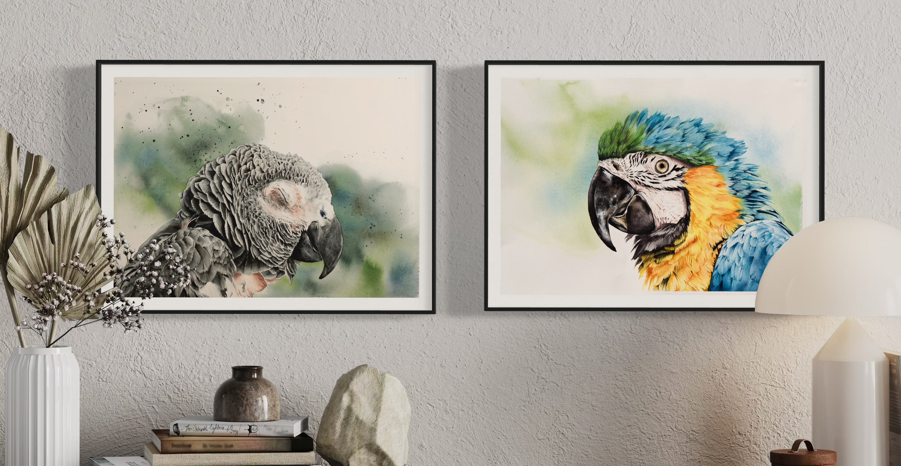African Grey Parrot 
