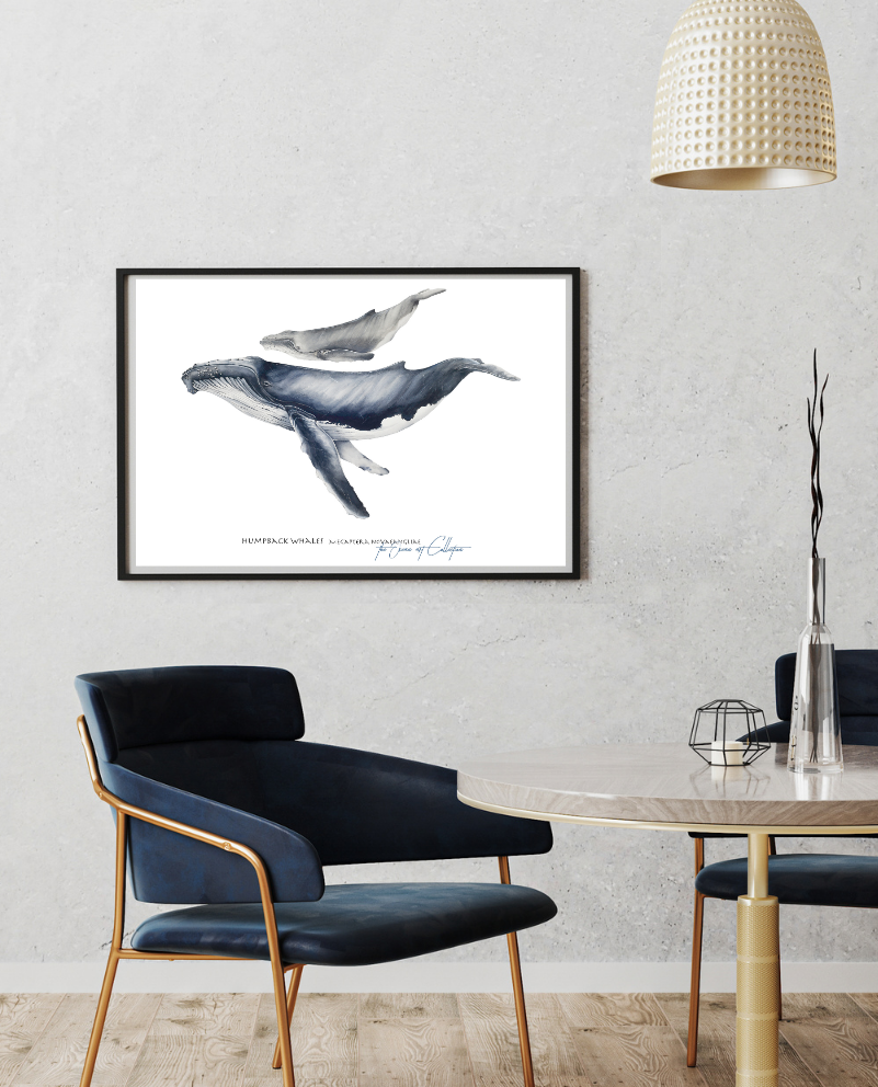Humpback Whales Art Print