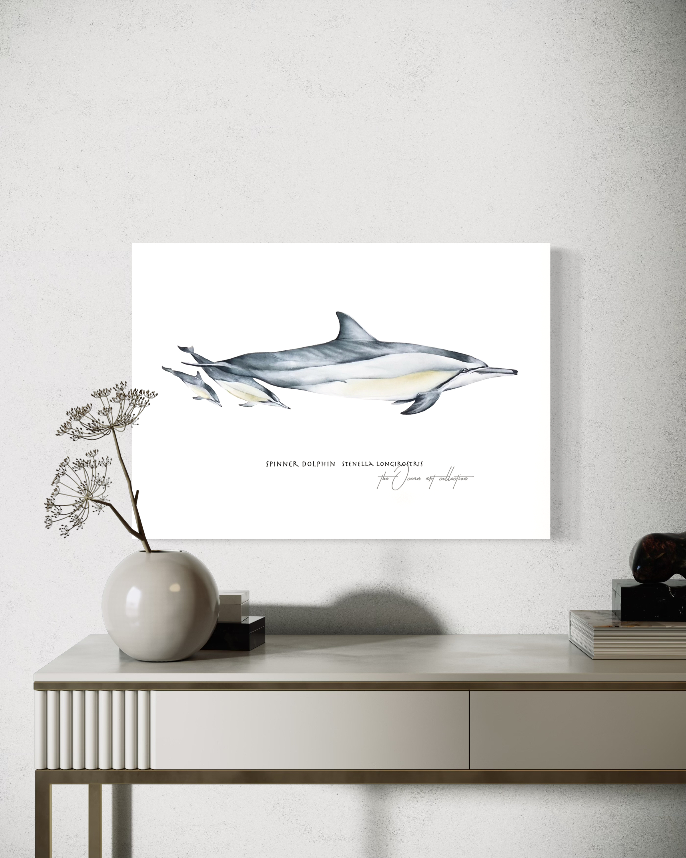 Spinner Dolphin 