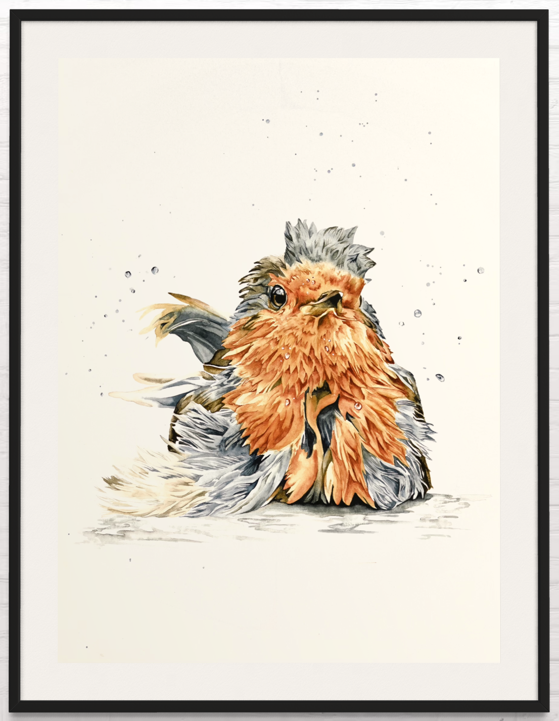 Bathing Robin Bird