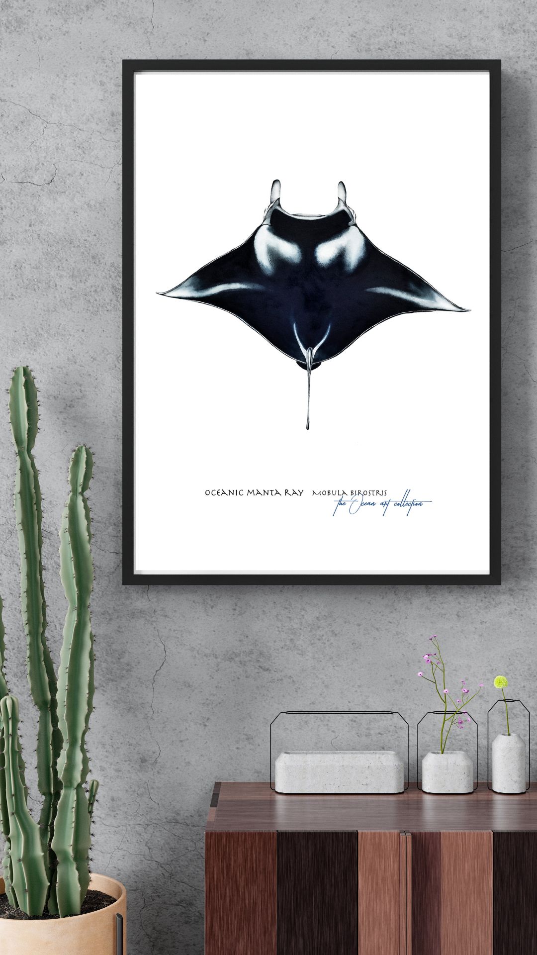 Oceanic Manta Ray 
