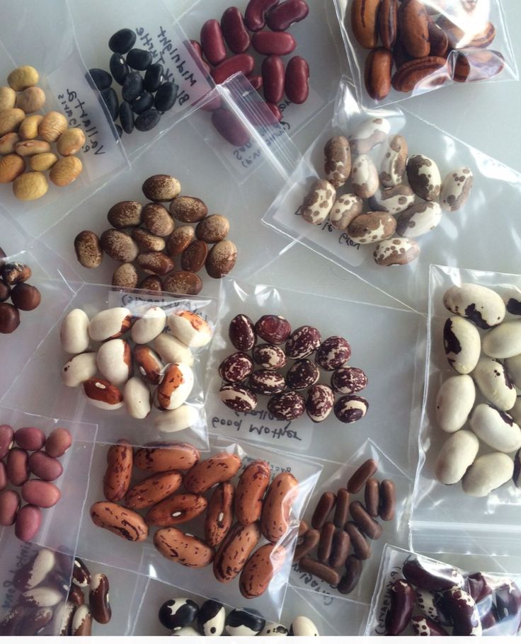 SEEDS