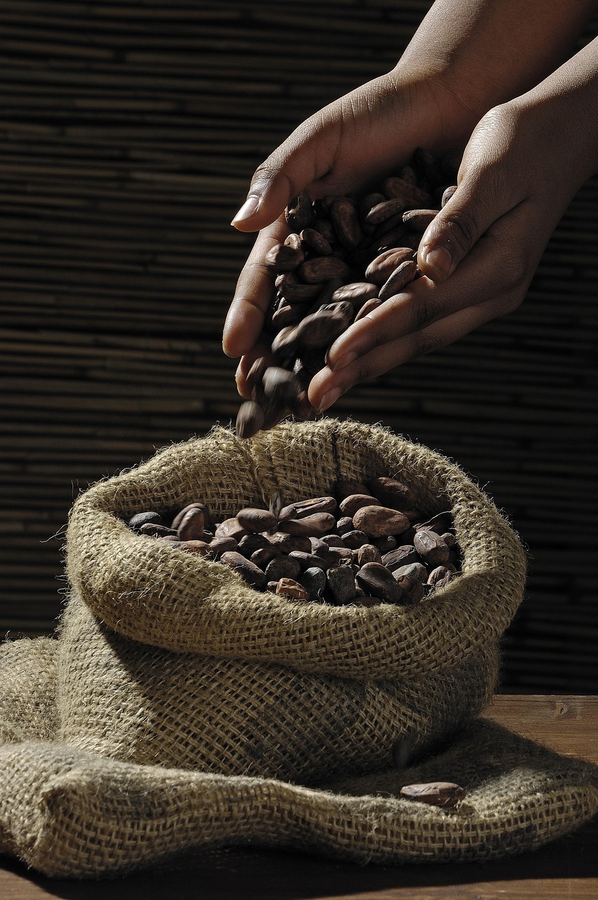  Raw Cocoa Beans