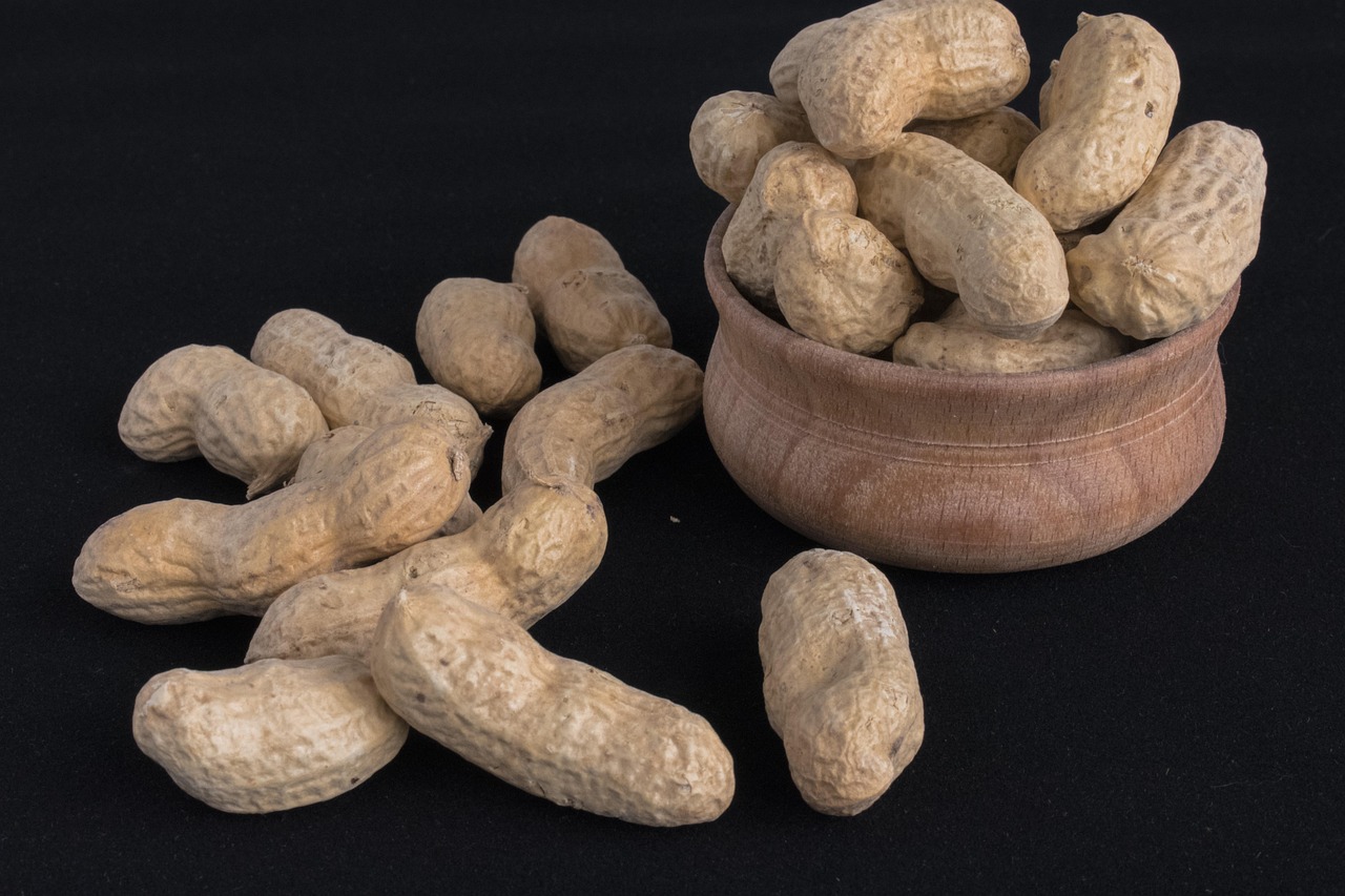 Raw peanuts in shell