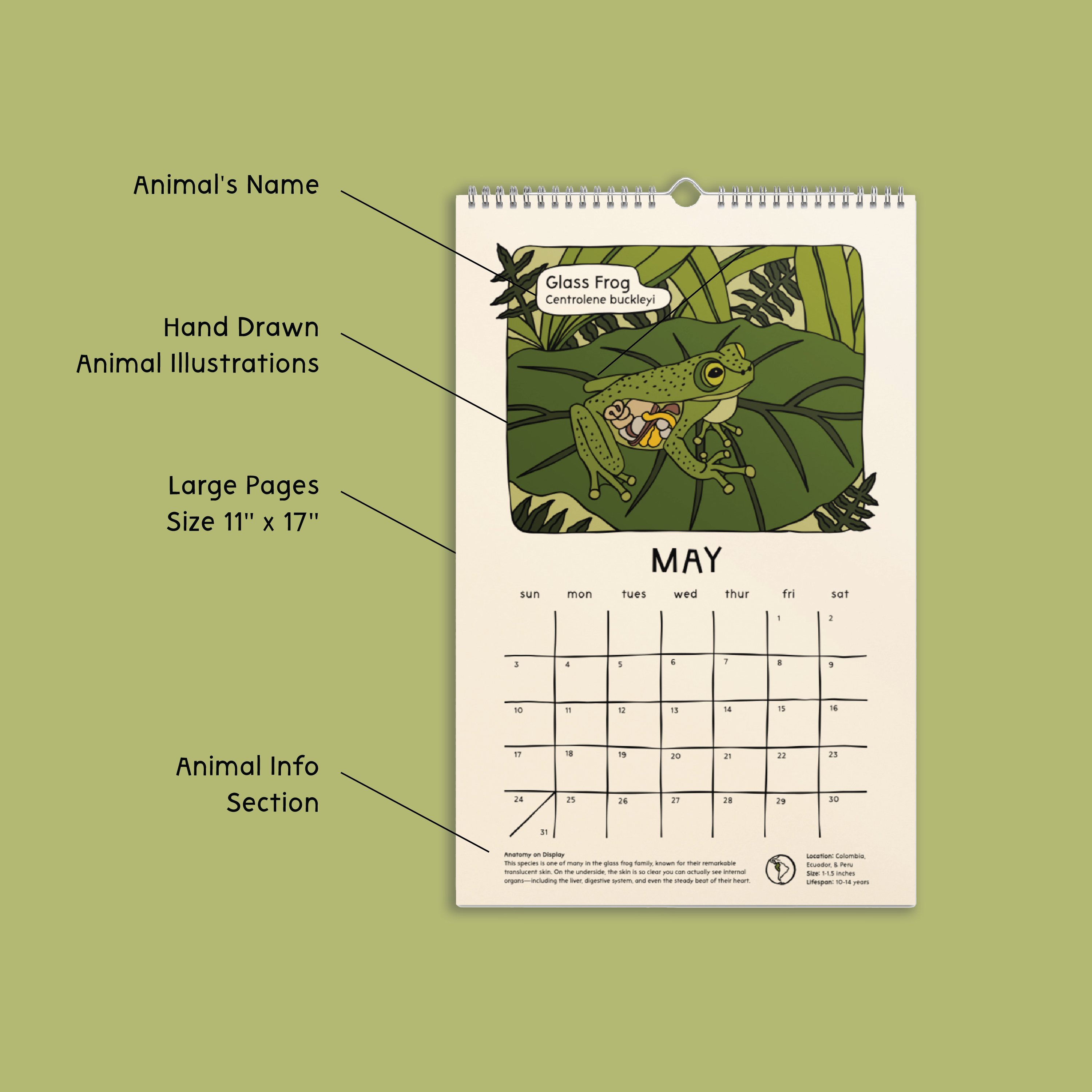 2026 Strange & Bizarre Animals Calendar