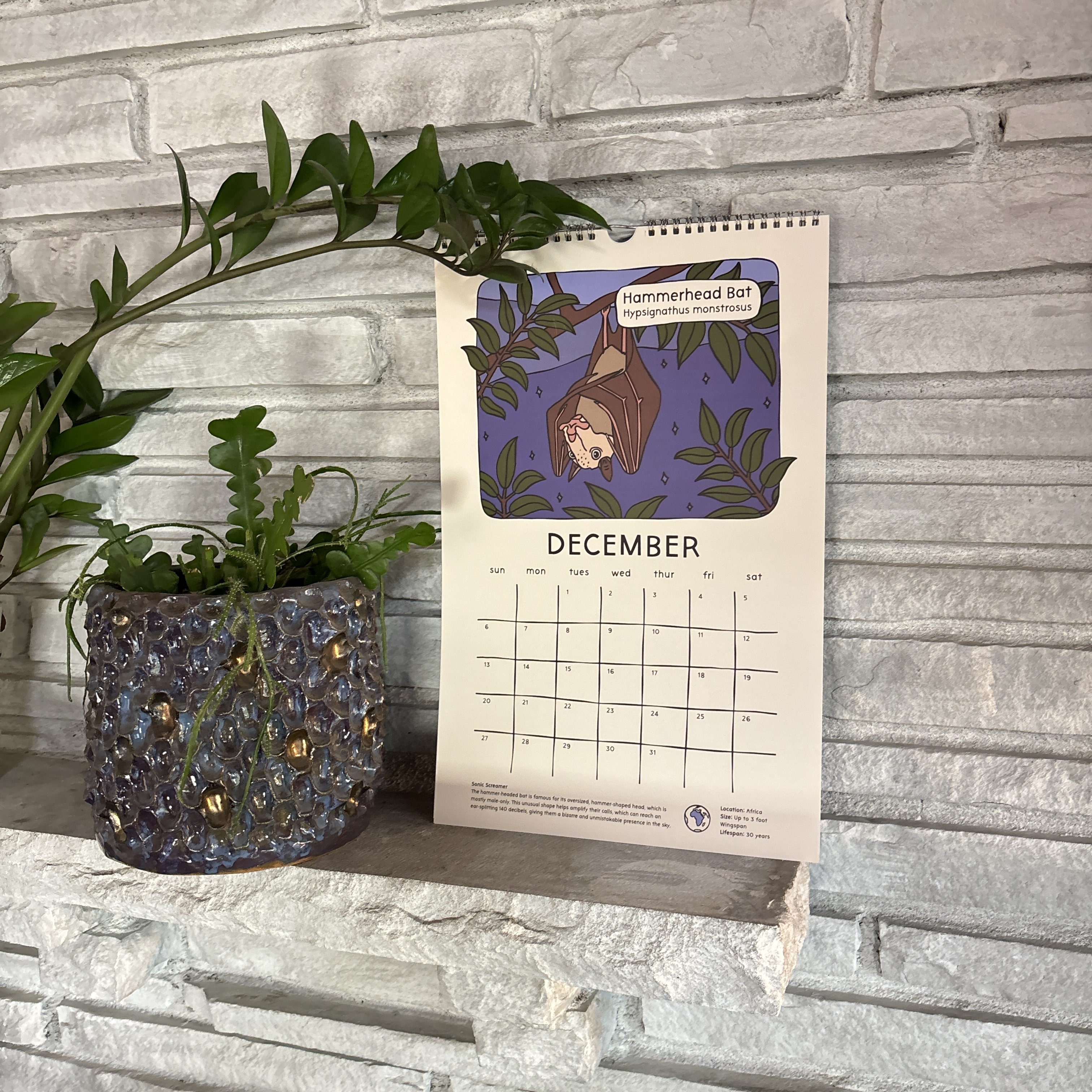 2026 Strange & Bizarre Animals Calendar