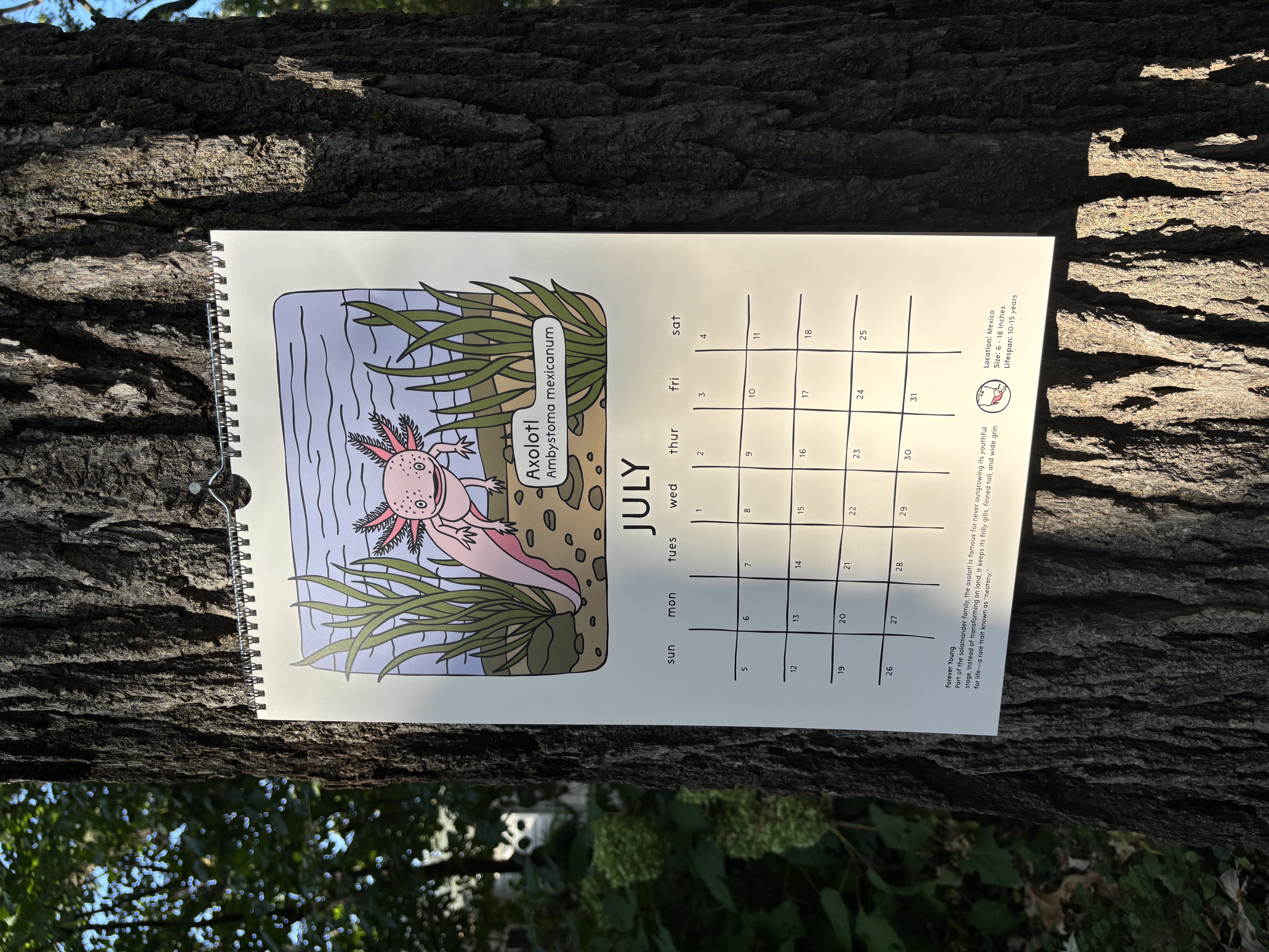 2026 Strange & Bizarre Animals Calendar