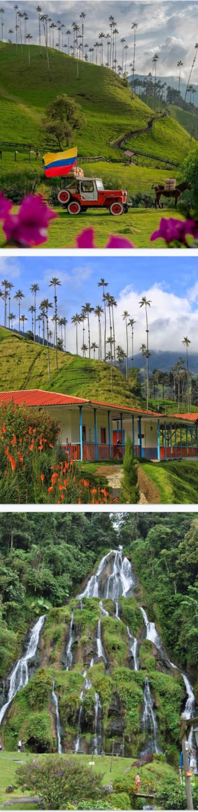 EJE CAFETERO CON CONEXIÓN EN MEDELLÍN