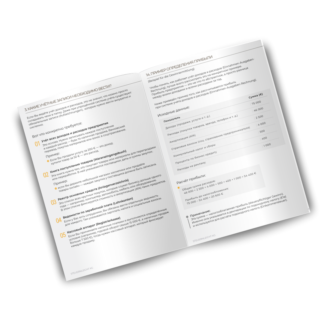 Брошюра: Учёт доходов и расходов в Австрии