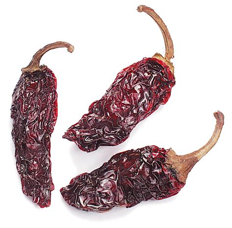 Chile Morita