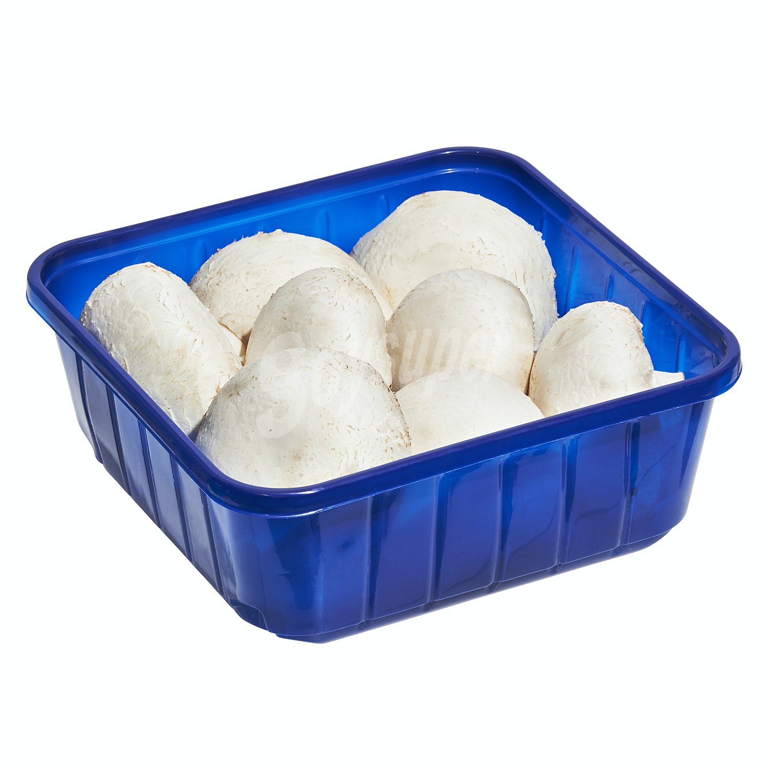 Caja Hongo blanco 1/4 Kg